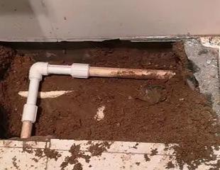 固阳测漏水哪家好