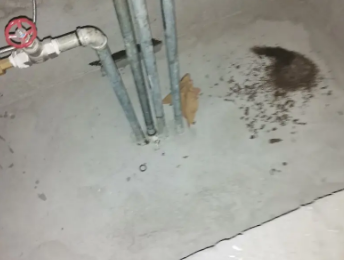 固阳卫生间测漏水价格明细