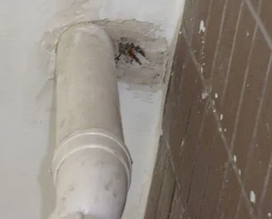 固阳漏水检测哪家好